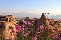 Picture Title - Cappadocia .
