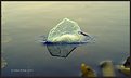 Picture Title - WET UFO