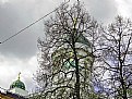 Picture Title - Trees & Towers