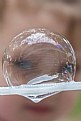 Picture Title - Bubble