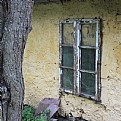 Picture Title - backyard-window