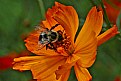 Picture Title - beeing in the center of the cosmos