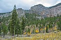 Picture Title - When fall comes to Mount Charleston