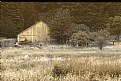 Picture Title - Siletz Barn