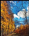 Picture Title - Fall Colors