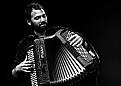 Picture Title - Accordionist 6