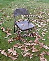 Picture Title - Leaf Chair