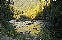 Picture Title - Clackamas River Gold