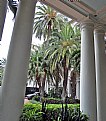 Picture Title - Palms & Columns