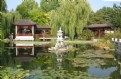 Picture Title - Chinese Garden