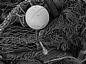 Picture Title - fishing nets