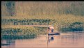 Picture Title - The Man On the Boat