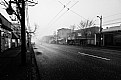 Picture Title - Foggy Morning Poetry