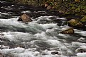 Clackamas River Detail