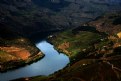 Picture Title - Douro Vineyards