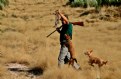 Picture Title - Hunting Dogs 4