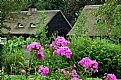 Picture Title - Hooidonk Watermill