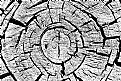 Picture Title - face of time 2