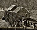 Picture Title - Behind Mabry Mill