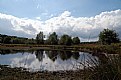 Picture Title - Heath and Fen