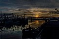 Picture Title - Steveston Harbour (4)