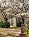 Picture Title - Oakwood cemetery in Martinsville, Va