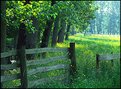 Picture Title - French Meadow