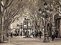 Picture Title - La fuente de la plaza - The fountain in the square