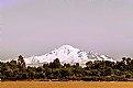 Picture Title - Mount Baker