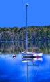 Picture Title - Sailboat