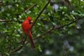 Picture Title - Checking out feeder from above