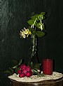 Picture Title - Still life
