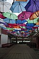 Picture Title - Street umbrella