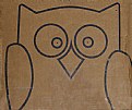 Picture Title - Face Owl