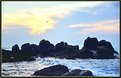 Picture Title - Some rocks, a wave and a seagull.