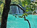 Picture Title - Tree & Water Fall