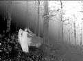 Picture Title - Angel in the Forest