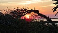 Picture Title - Sunset at Pea Island