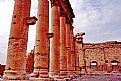 Picture Title - Columns