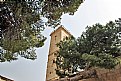 Picture Title - Trees & Tower