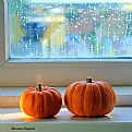Picture Title - Pumpkins