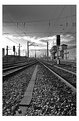 Picture Title - Rails