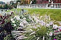 Picture Title - Flowers and Horizon