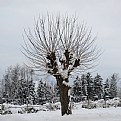 Picture Title - winter