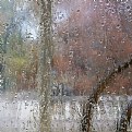 Picture Title - rainy day