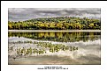 Autumn on Rockland Lake