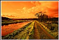 Picture Title - ** Red River**