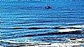 Picture Title - Boat & Beach