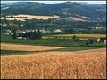 Picture Title - the golden fields of my land