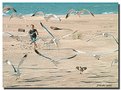 Picture Title - Summer Fun